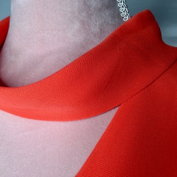 Naked Zebra gorgeous top. - Picture 3 of 8